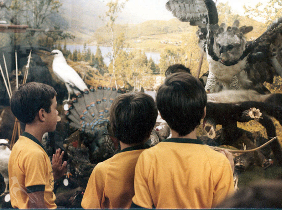 Niños observando al Águila Arpía.