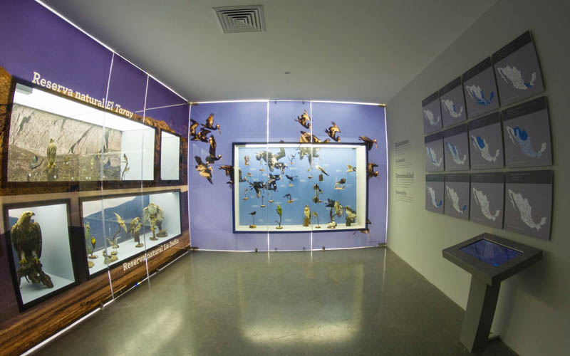 Reservas Naturales del Museo y Estacionalidad de las Aves